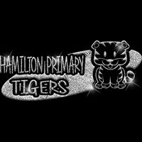 GLT100 SILVER GLITTER Thumbnail