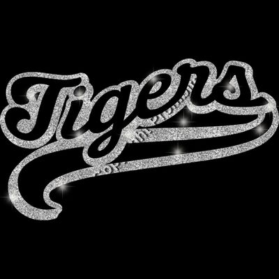 GLT78 SILVER GLITTER Thumbnail