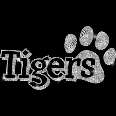 GLT17 SILVER GLITTER Thumbnail